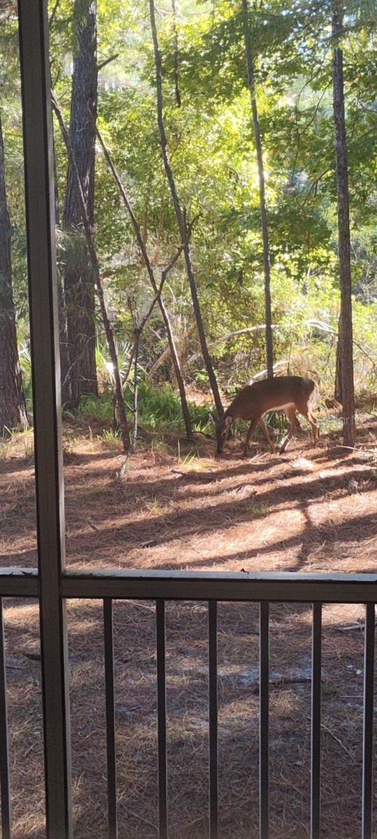 MAGNOLIA PLACE TOWNHOMES - Residential Lease