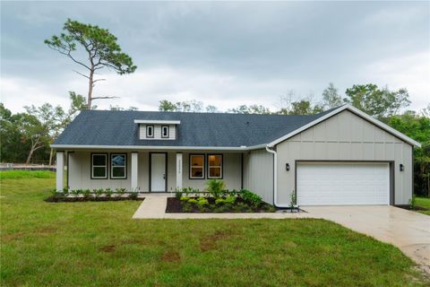 30536 HOYLAKE STREET SORRENTO FL 32776