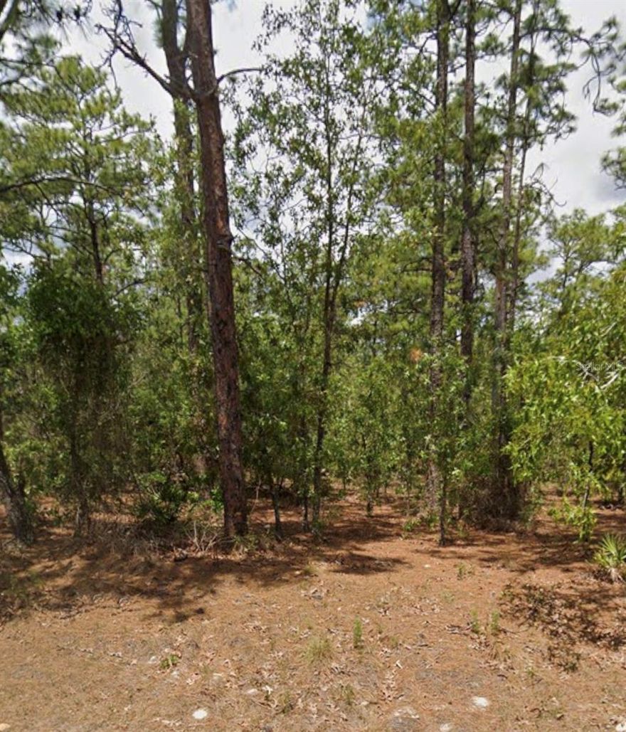 1.44 acre buildable lot located in Pine Ridge! Come build your dream home with room for all of your toys in the serene equestrian community of Pine Ridge located in Beverly Hills, Florida! Close to the Nature Coast.
