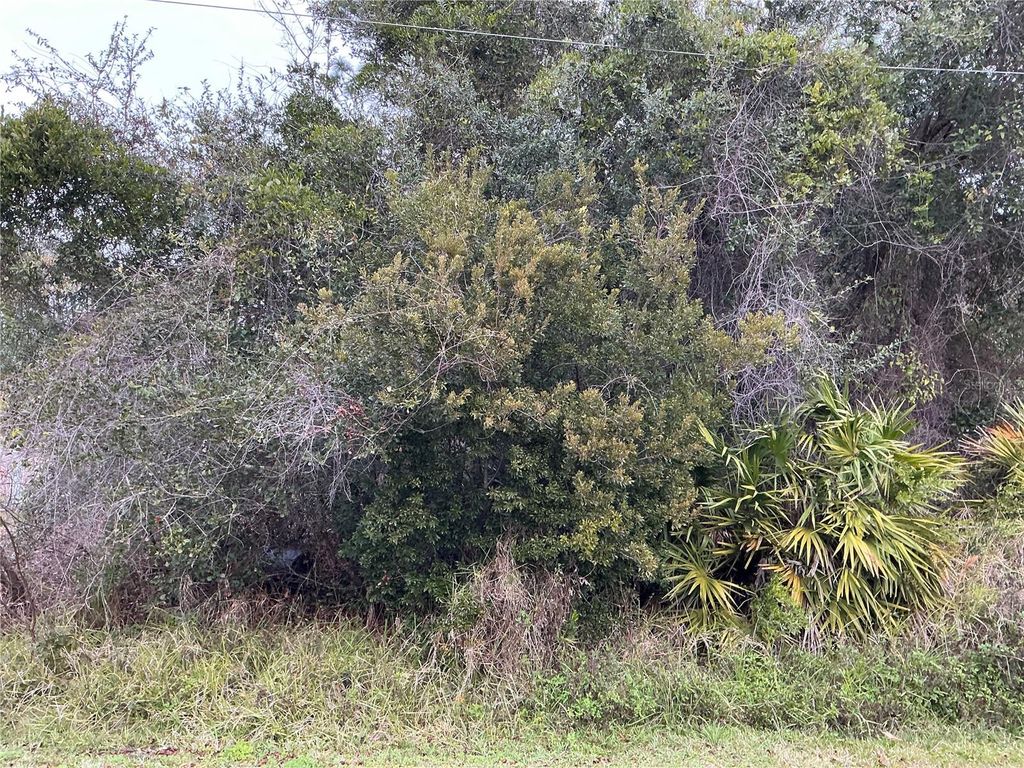 Photo of 12 Fayy Lane, Palm Coast, FL 32137 (MLS # OM722985)