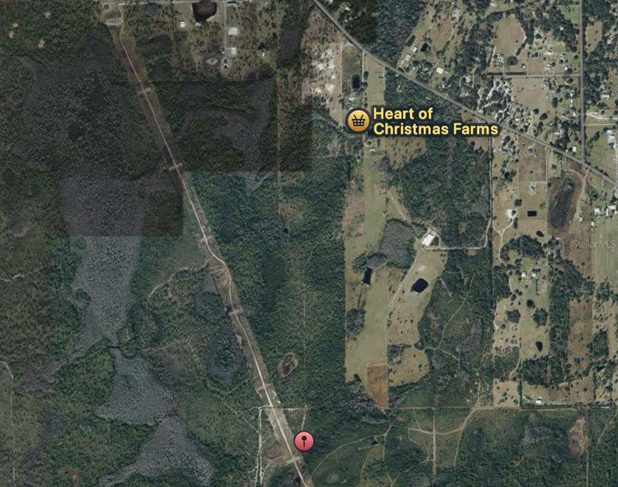 Discover the opportunity of owning 1.27 acres of vacant land in the quiet, rural Christmas, FL. Tucked away just off Fort Christmas Road, this private lot offers tranquility and future potential in a growing region.

This lot may not be suitable for immediate residential building, but it offers an excellent opportunity for long-term land investment, recreational use, or holding as Florida’s land values continue to rise. With no HOA and just 30 minutes from both Downtown Orlando and the coast, this parcel gives you the chance to own land in one of Central Florida’s most peaceful settings.

Please note: this parcel is currently landlocked and has no direct road access. Buyers are advised to contact Orange County regarding the process of obtaining legal access or future development options.