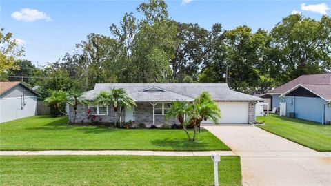 781 ASPEN DRIVE SOUTH DAYTONA FL 32119