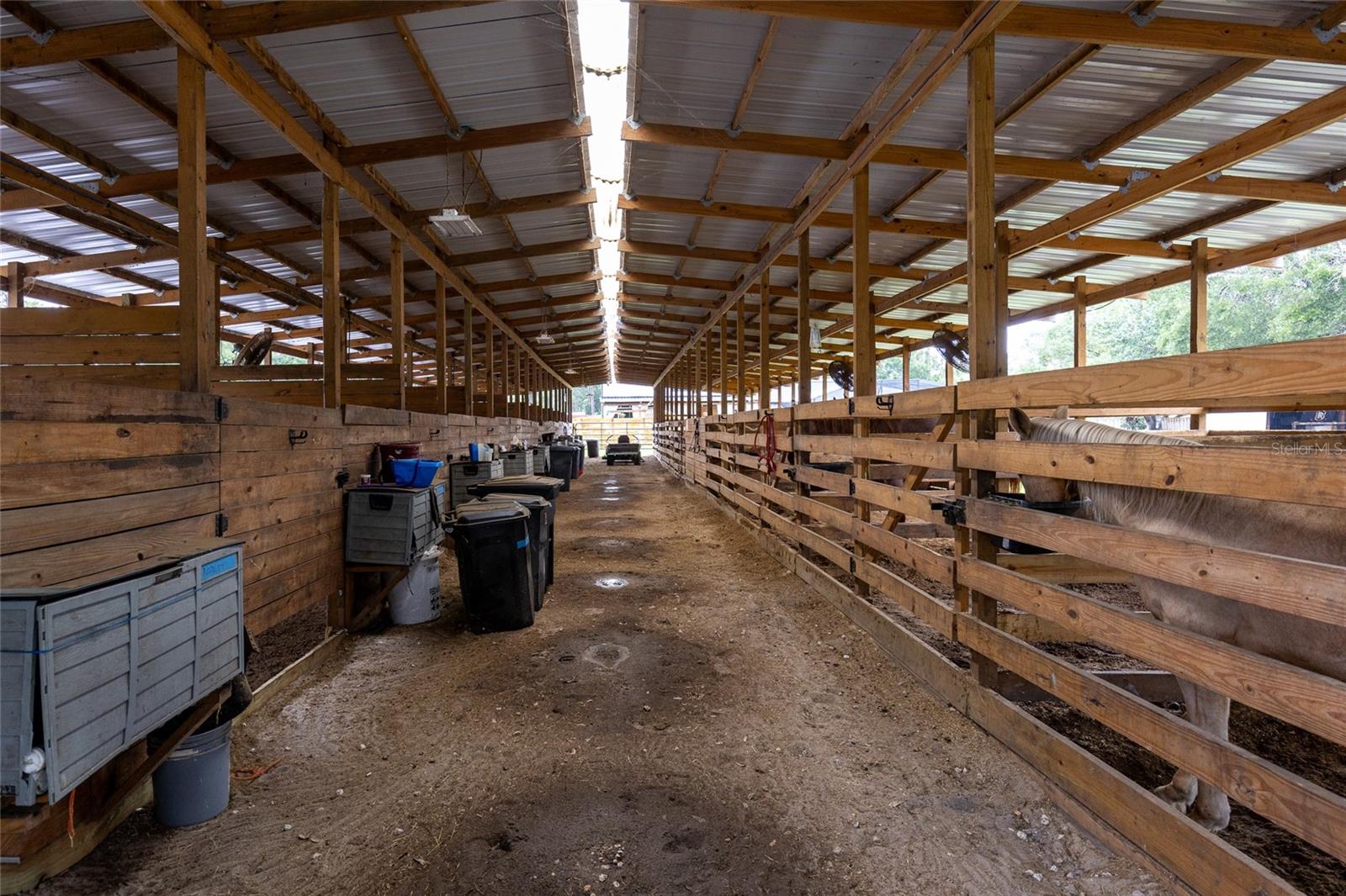 ORANGE BLOSSOM ACRES - Residential