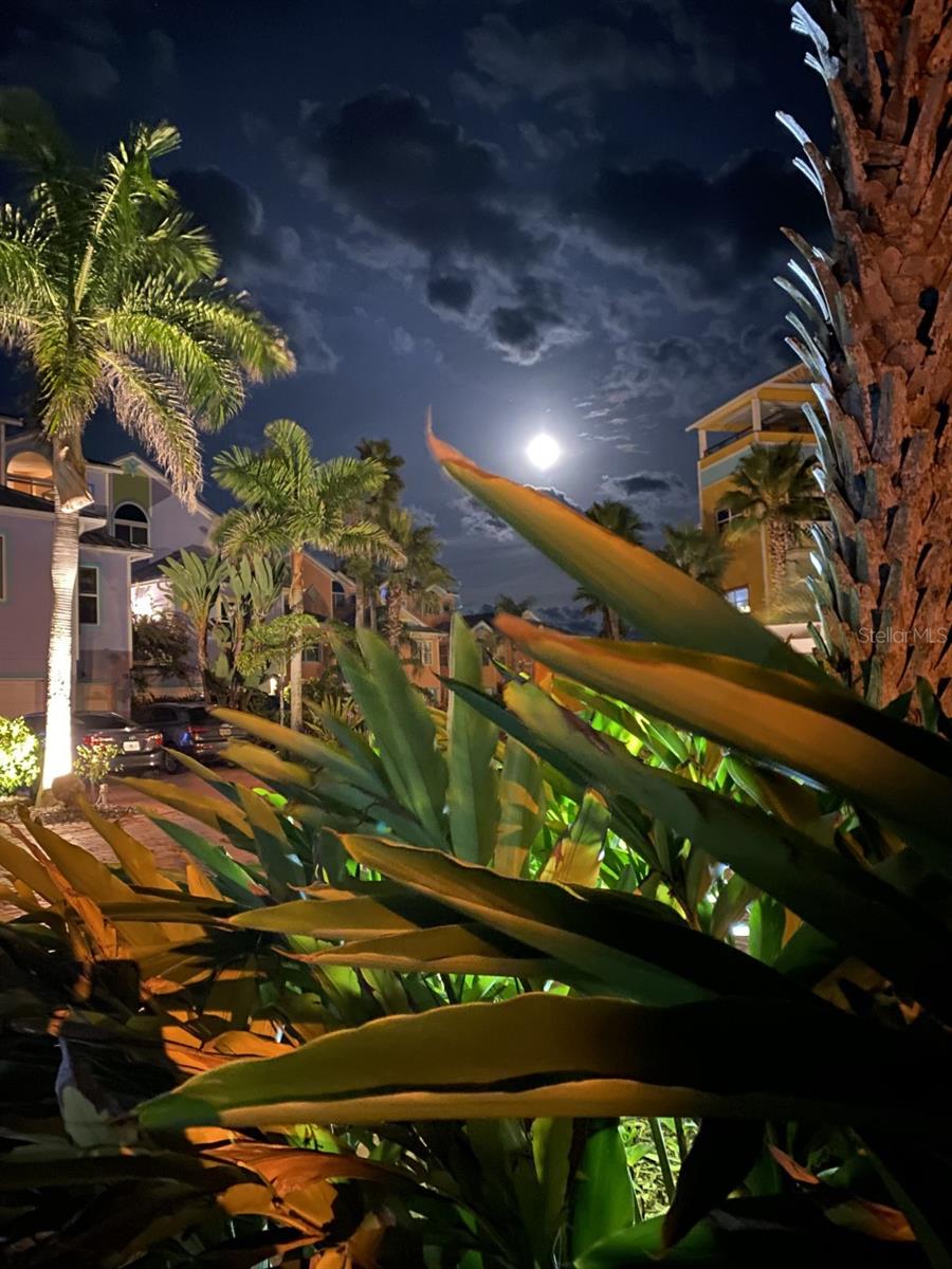 3000 OCEAN SHORE BOULEVARD 150