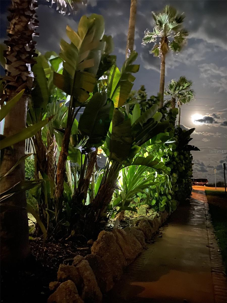 BARRIER ISLAND - Residential