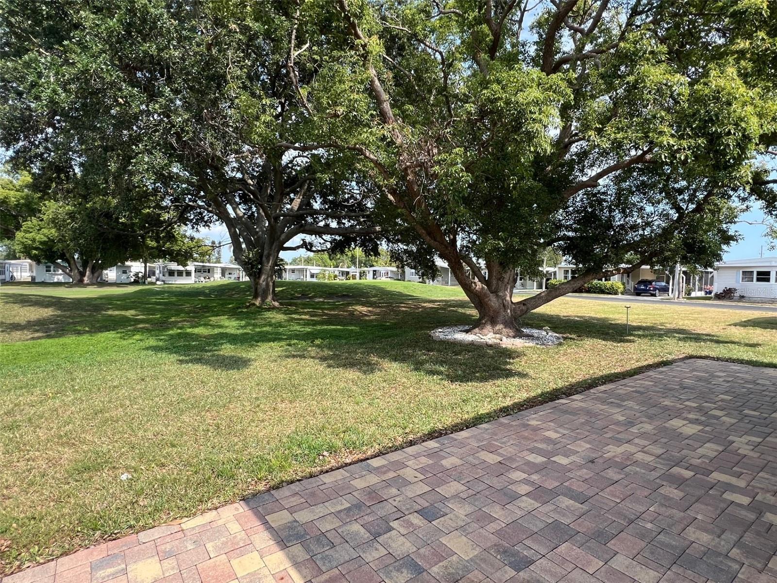 65 SABAL PALM DRIVE