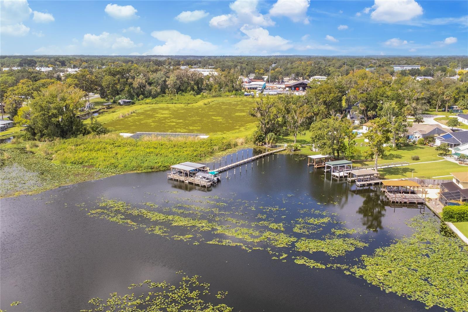 LEESBURG ARBORS LAKE HARRIS - Residential