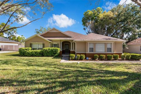Photo of 2613 Breezy Meadow Road, Apopka, FL 32712 (MLS # O6392384)