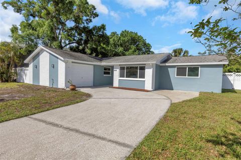 A home in TARPON SPRINGS