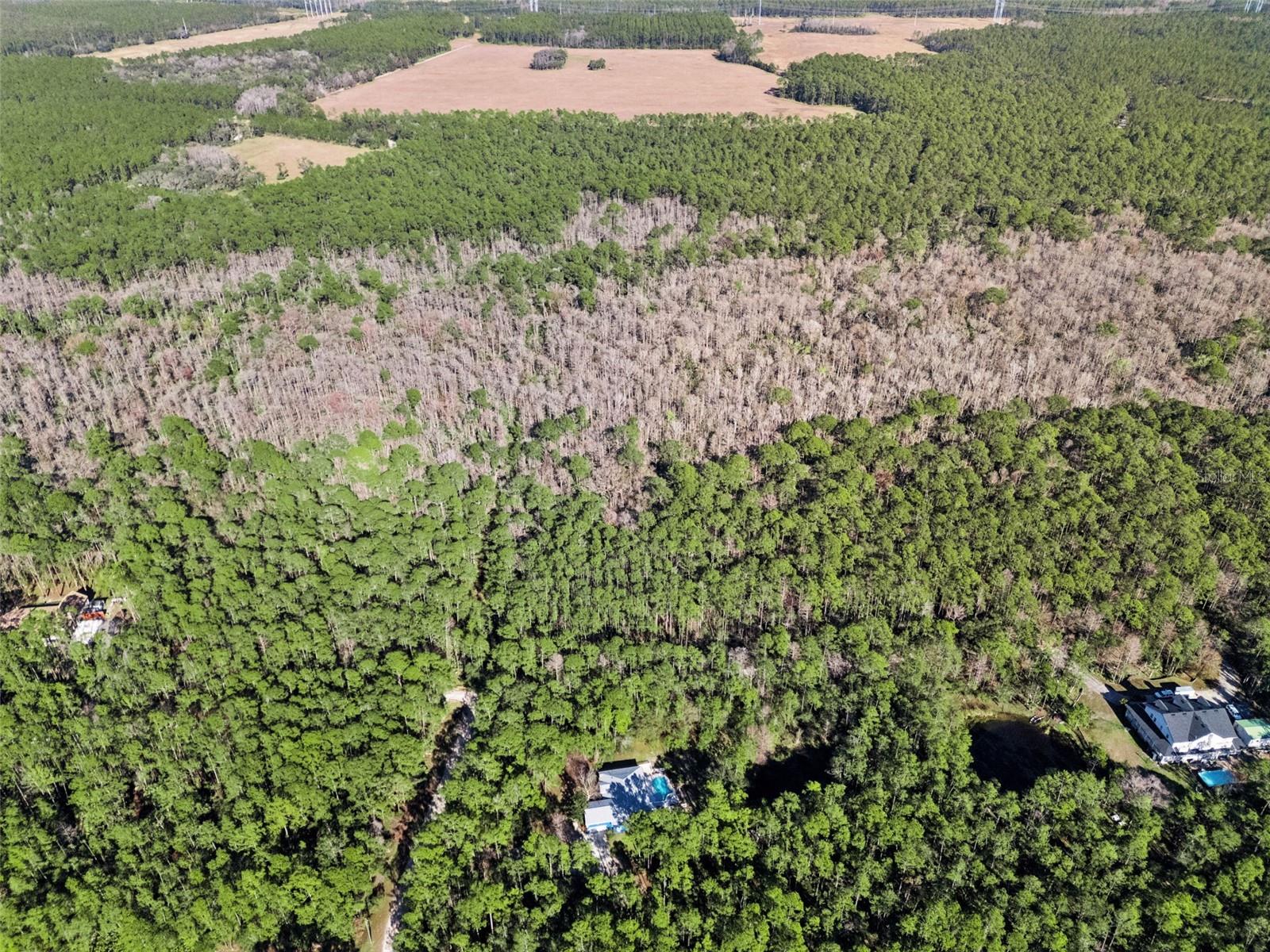 SUMMERFIELD FARMS UNREC - Residential