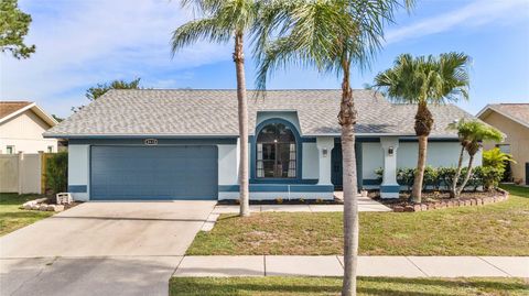 8638 CHADWICK DRIVE TAMPA FL 33635