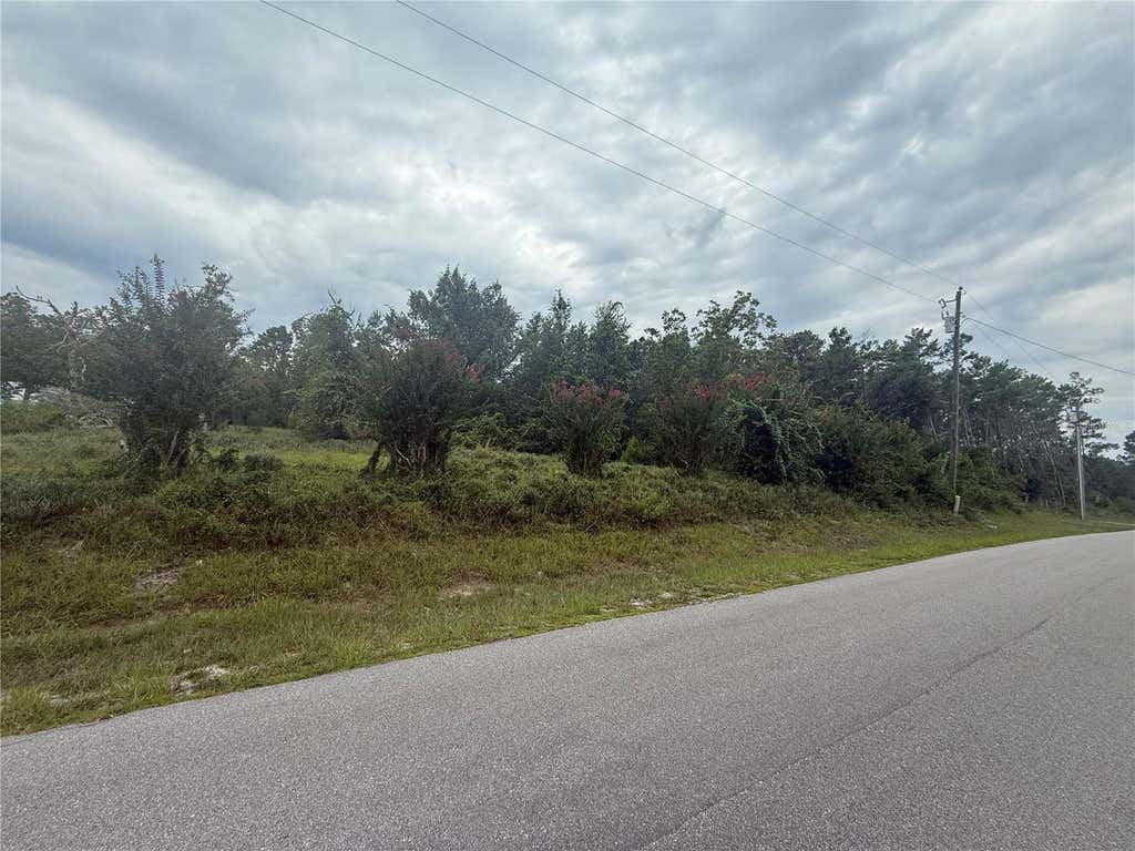 Photo of 31514 Division Street, Deland, FL 32720 (MLS # V4950218)