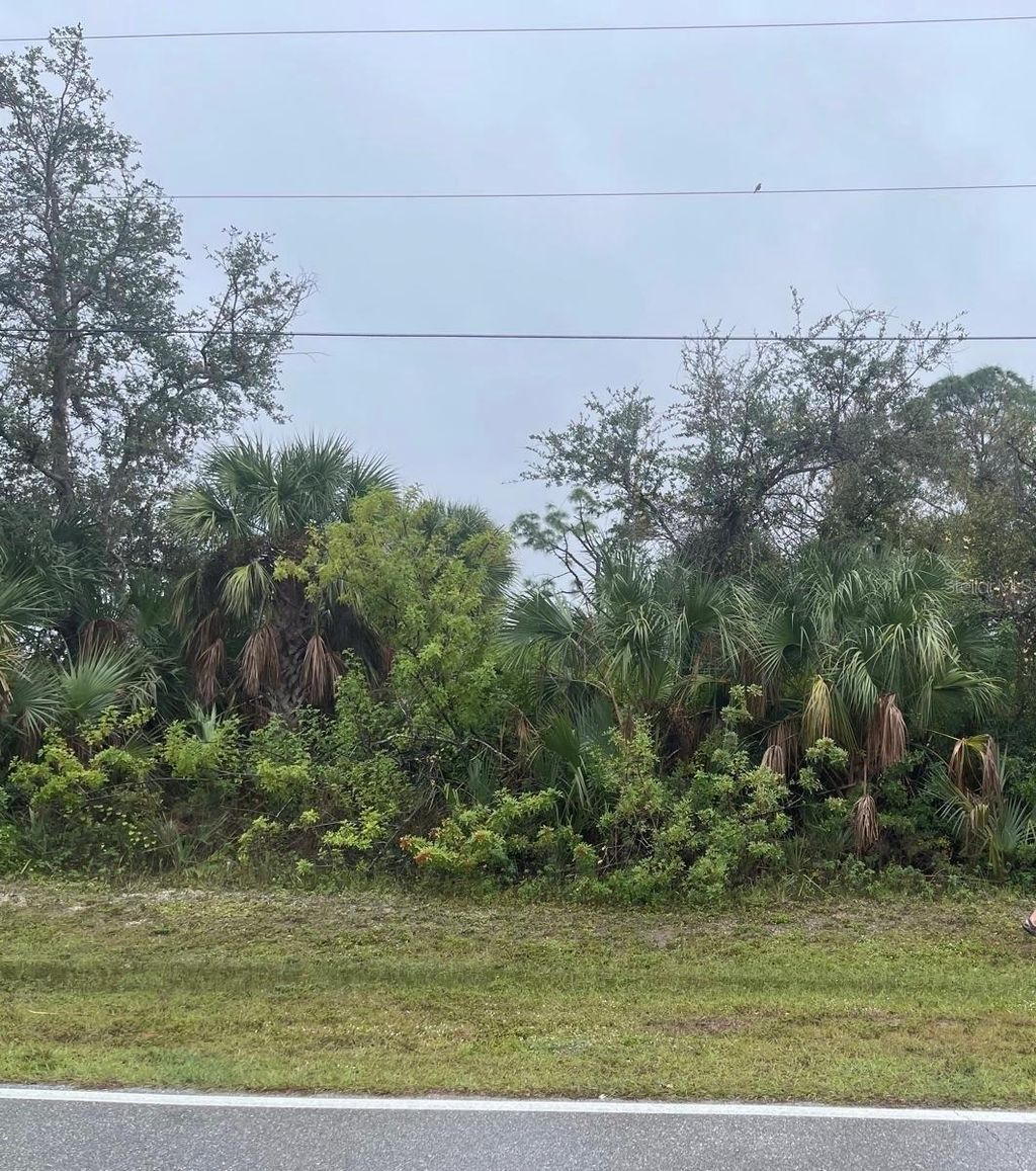 Photo of 181 Cougar Way, Rotonda West, FL 33947 (MLS # TB8349379)