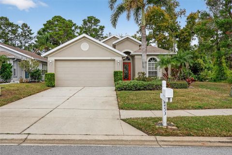 Photo of 2453 Pleasant Hill Lane, Holiday, FL 34691 (MLS # O6364058)