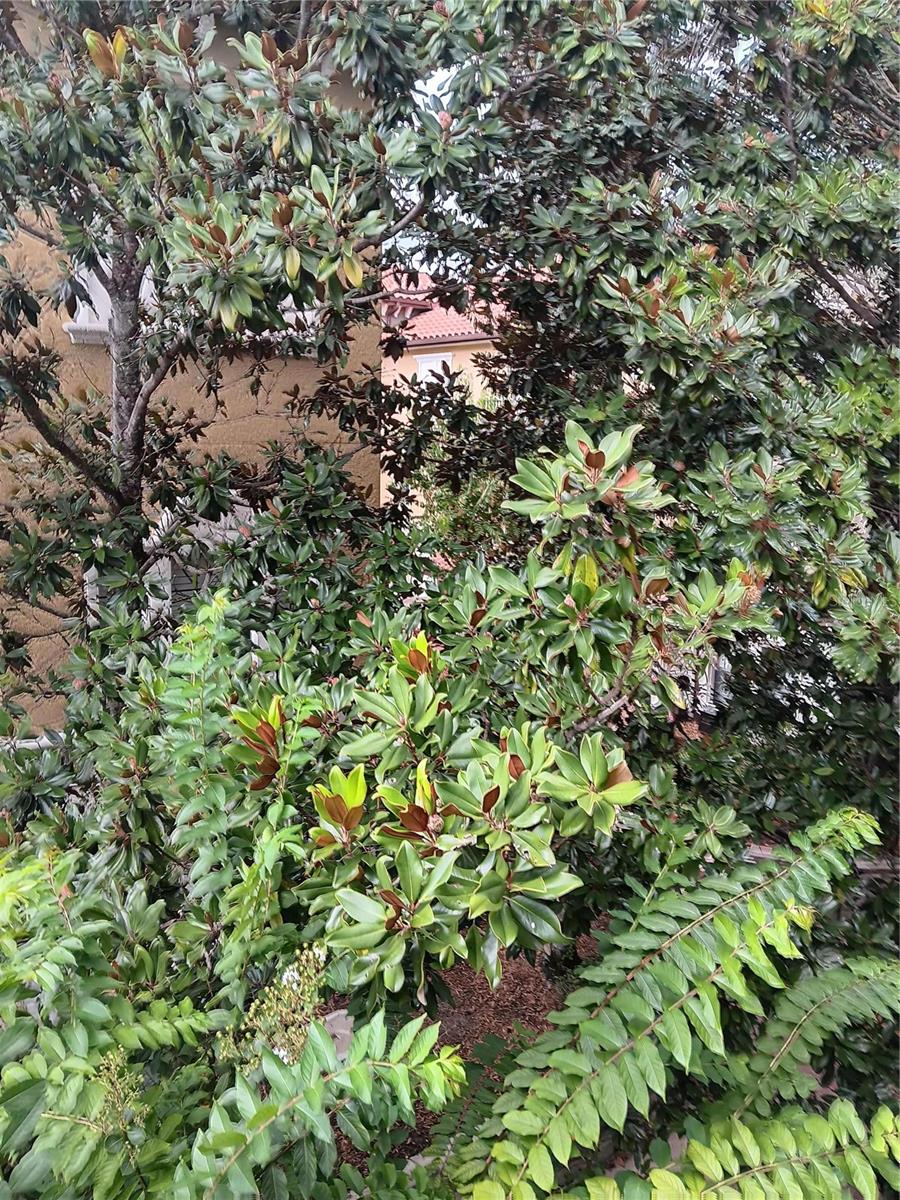 FOUNTAIN PARKE AT LAKE MARY - Residential Lease