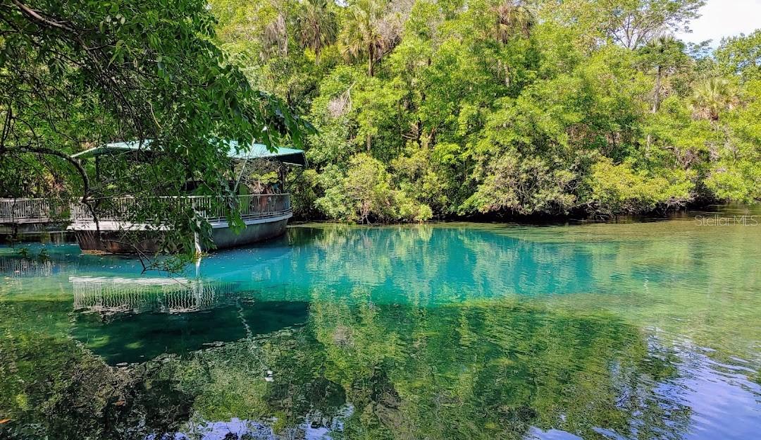 HOMOSASSA UNIT 04 - Residential