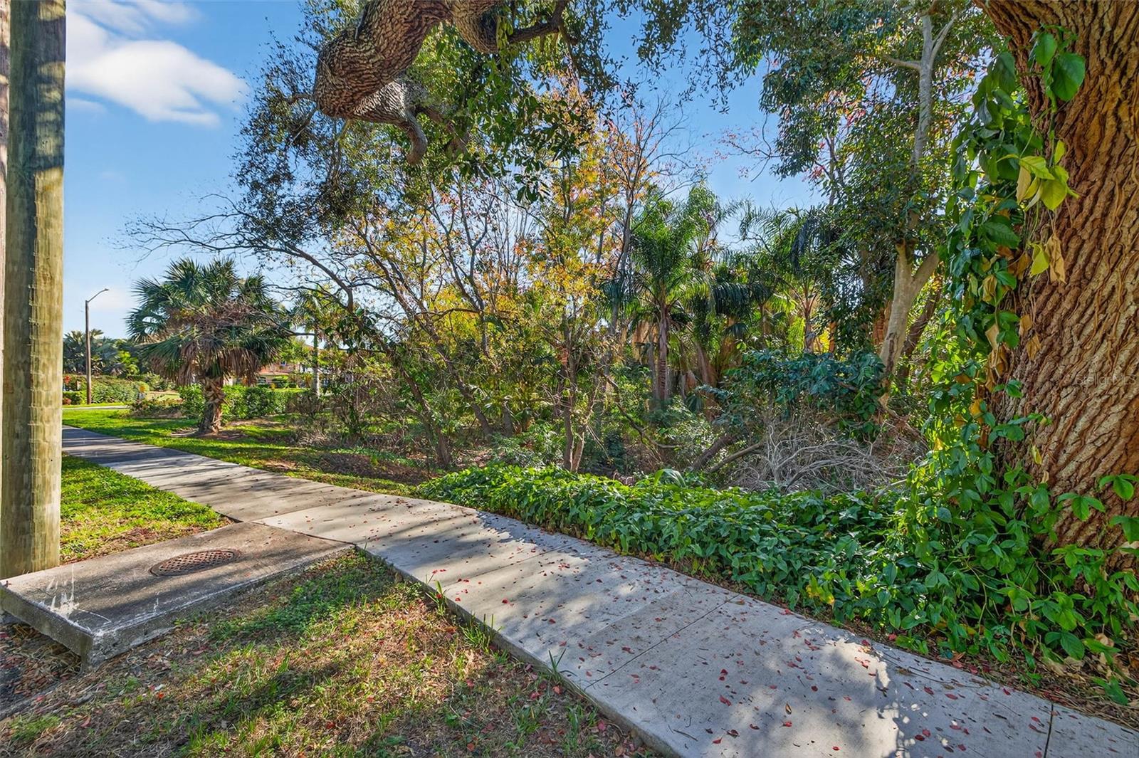 PASADENA GREENS - Land