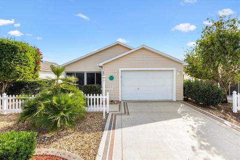 2565 ERROL TERRACE THE VILLAGES FL 32162