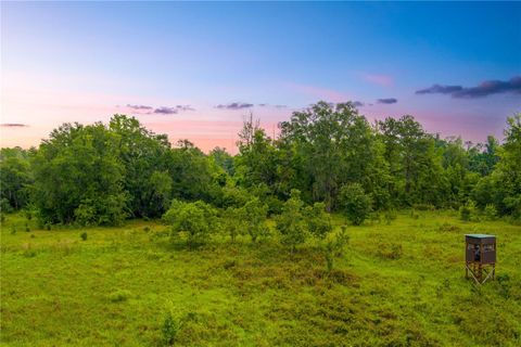 NW COLIN COURT LAKE CITY FL 32055