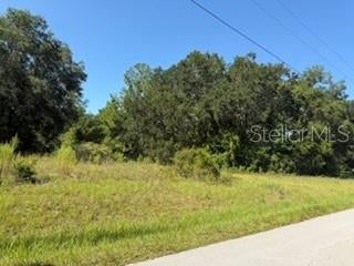 Photo of Tbd SE 59th Place, Ocklawaha, FL 32179 (MLS # OM730161)