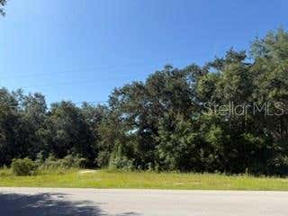 Photo of Tbd SE 59th Place, Ocklawaha, FL 32179 (MLS # OM730161)