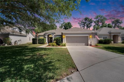12802 CATTAIL SHORE LANE RIVERVIEW FL 33579