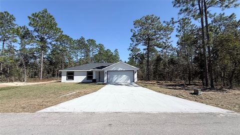 Photo of 23405 SW Anchor Boulevard, Dunnellon, FL 34431 (MLS # OM709449)
