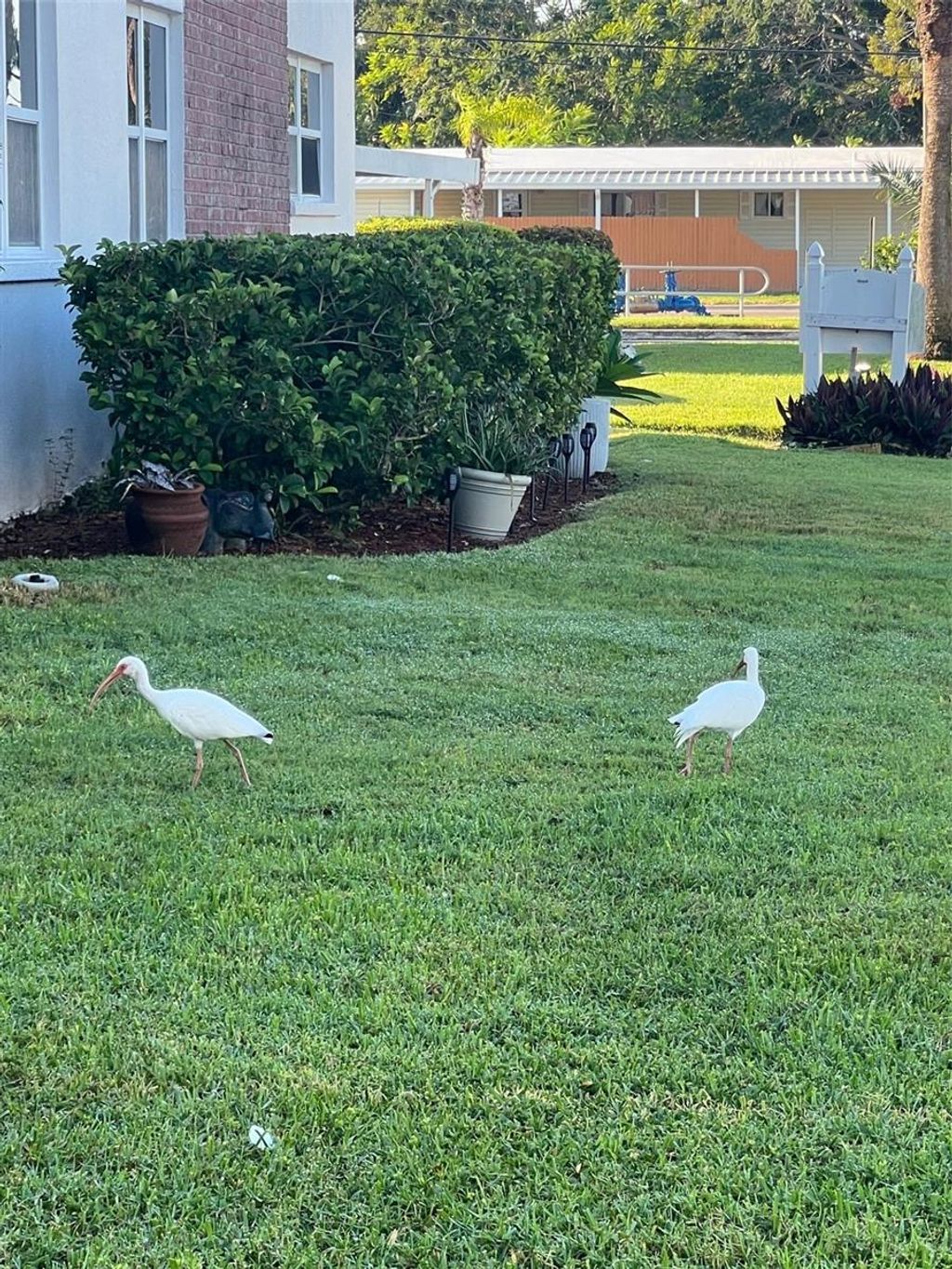 Photo of 7941 58th Avenue N #106, St Petersburg, FL 33709 (MLS # TB8432970)