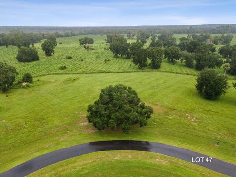 Lot 47 SW 125TH CIRCLE ARCHER FL 32618
