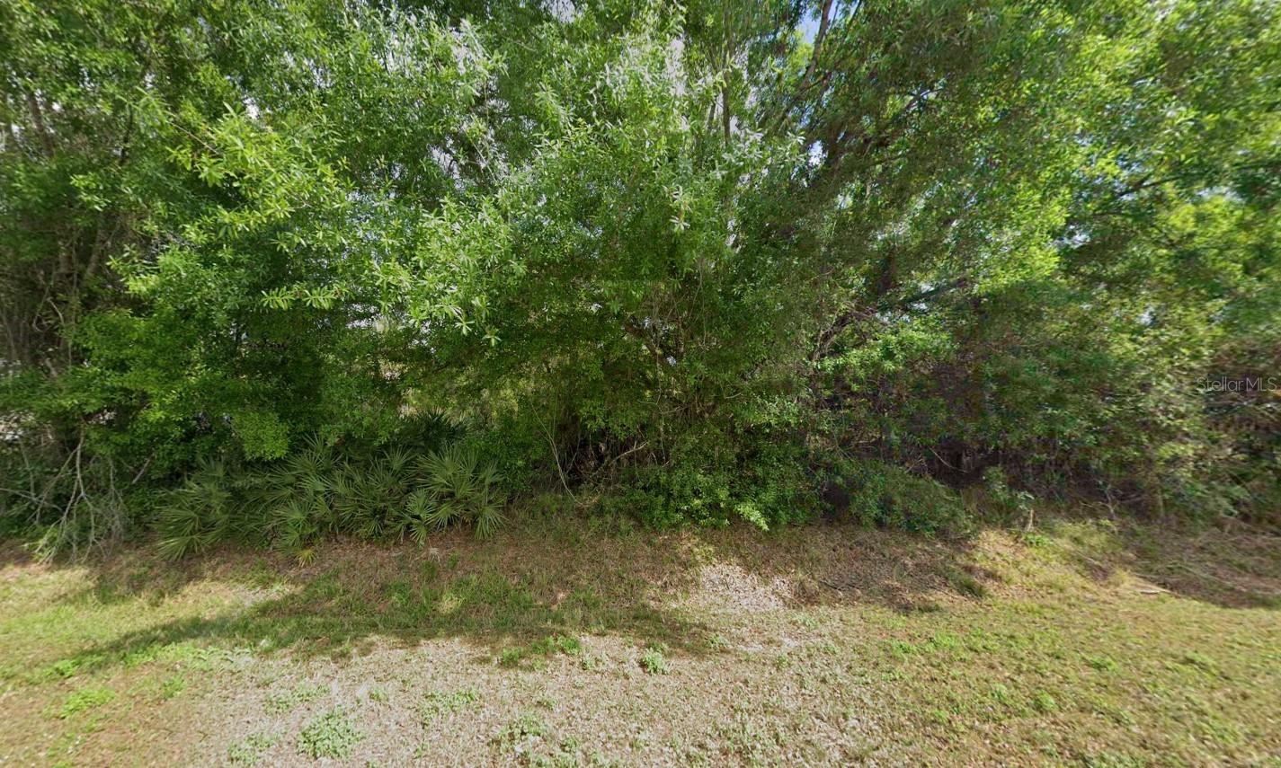 BASSWOOD UN 02 - Land