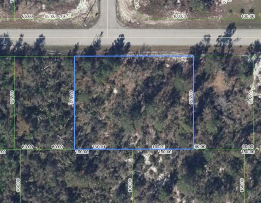Oversized Duplex lot in popular Placid Lakes community in Lake Placid.  On a nicely paved road it's an easy trip to your choice of the local lakes.  Join the voluntary HOA for easy access and boat ramp to Lake June and enjoy the July 4th fireworks from the water!  Build your duplex, live in one side and rent the other side out for a great investment.  

Information is deemed reliable however, Buyer and Buyer's Agent should verify ALL details related to this property including, but not limited to, parcel dimensions, acreage, zoning, lands, water/sewer/septic, and any other information that may affect the Buyer's decision to purchase this property.