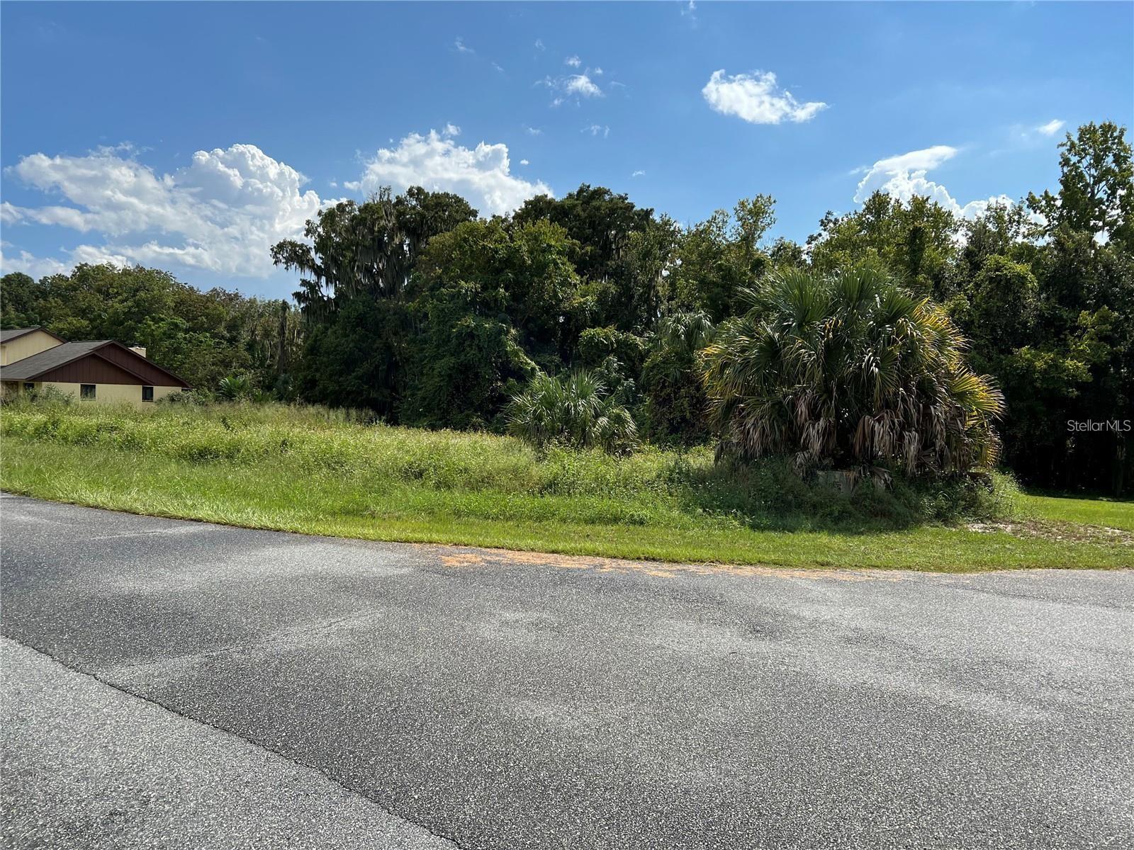 Here is .62 Acres in the community of Arbormere on Lake Harris. Here is the opportunity to build that beautiful dream home. This community has it's on boat dock. Enjoy going out on the dock and enjoying the nice sunset in the evenings. This lot is almost at the end of a cul de sac very seclusive. Very quiet area. Your not far from town to restaurants, shopping centers, movie theatres and Lake Square Mall. Lake Harris Chain of Lakes if one of the biggest Lakes to go out on. Plenty of places to go on the boat to nice places to eat. Take a drive by and give me call!!!