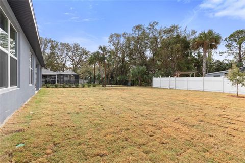 A home in PALM COAST