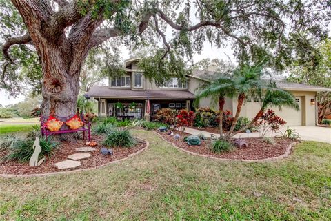 A home in OLDSMAR