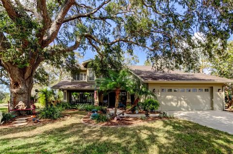 A home in OLDSMAR