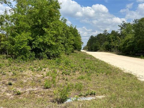0000 NE 131 TERRACE TERRACE WILLISTON FL 32696