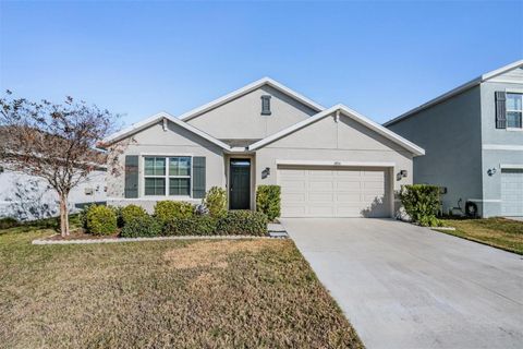 10210 GOLDEN LIGHT COURT RIVERVIEW FL 33578