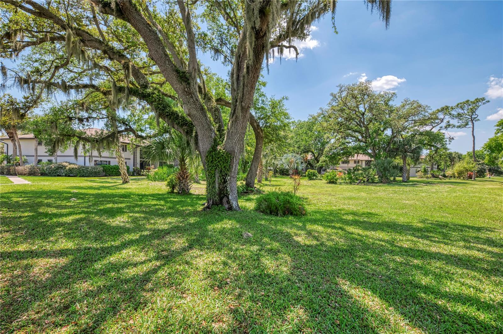 OAK FORREST - Residential