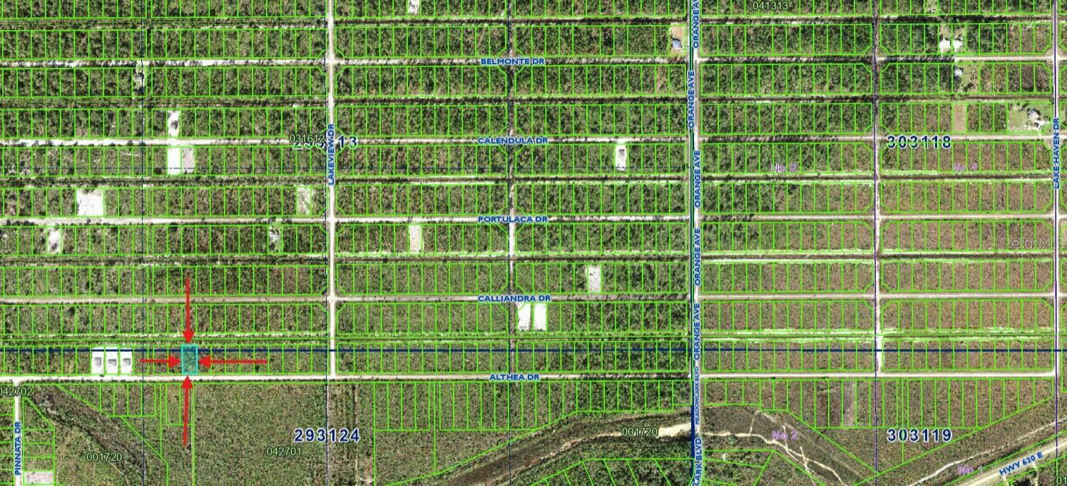 FORT MYERS DRIVE