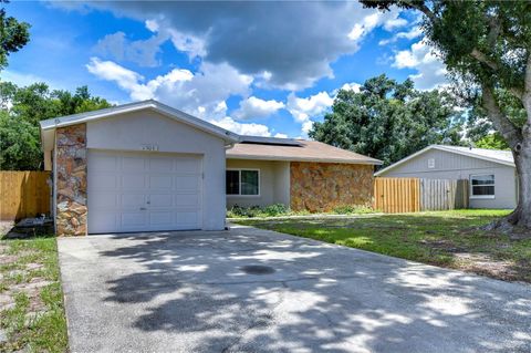 A home in RIVERVIEW