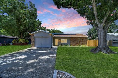 A home in RIVERVIEW