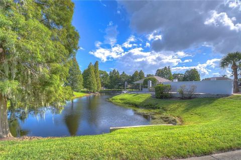 A home in RIVERVIEW