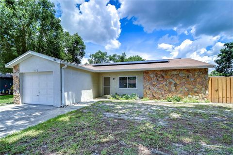 A home in RIVERVIEW