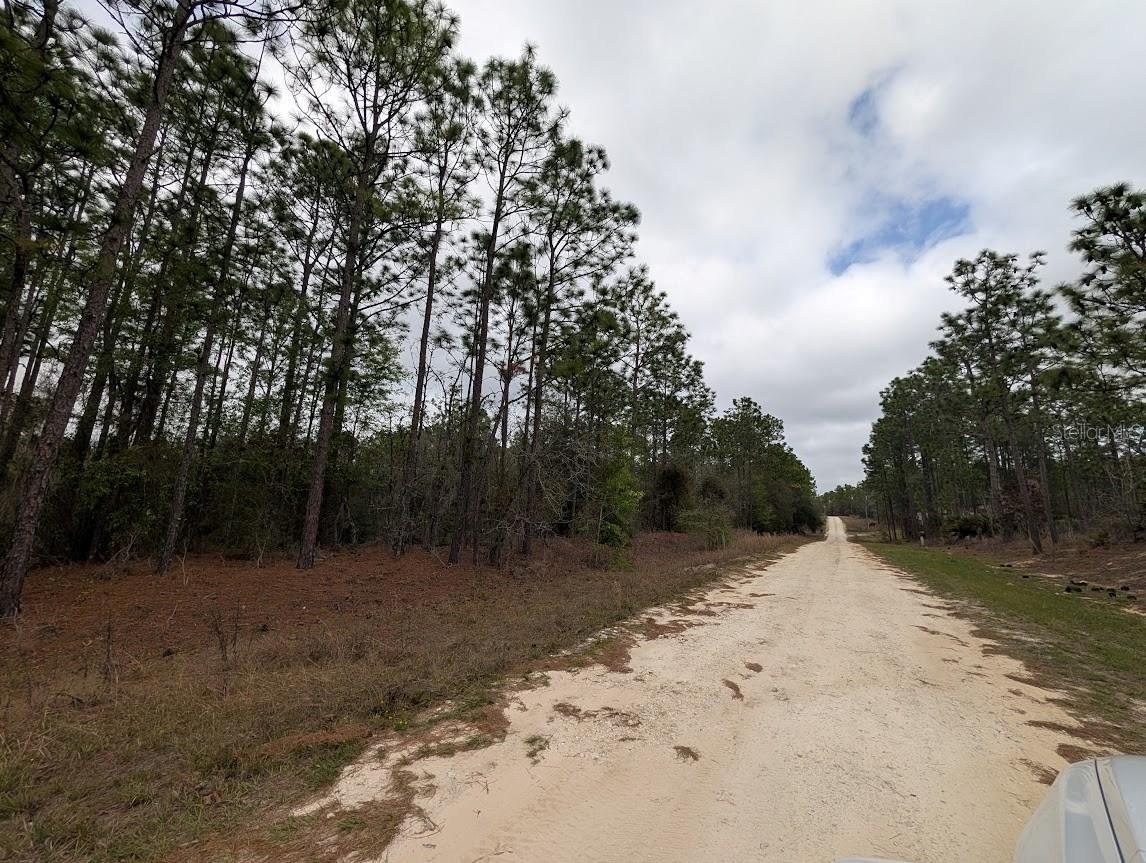 ROLLING HILLS 04 - Land