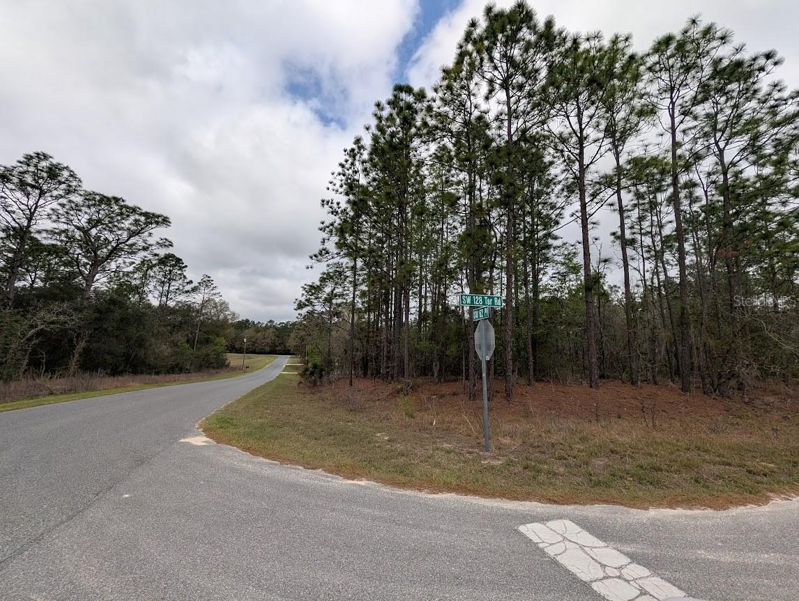 ROLLING HILLS 04 - Land