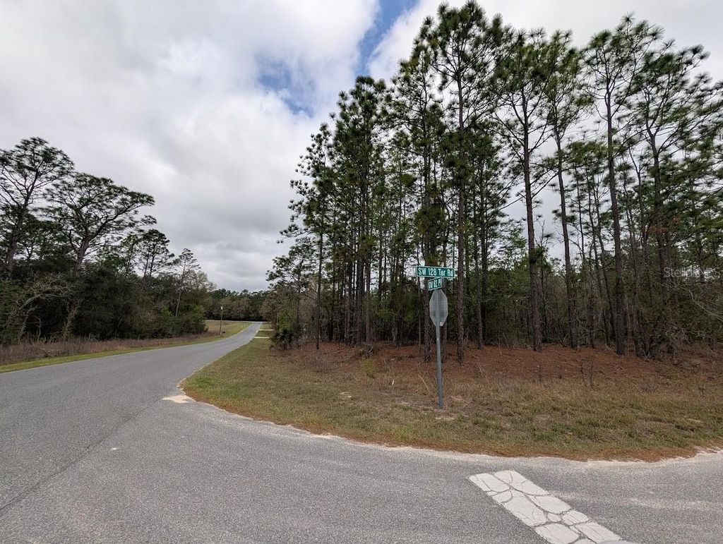 Photo of 6200 SW 128th Terrace Road, Ocala, FL 34481 (MLS # OM723160)