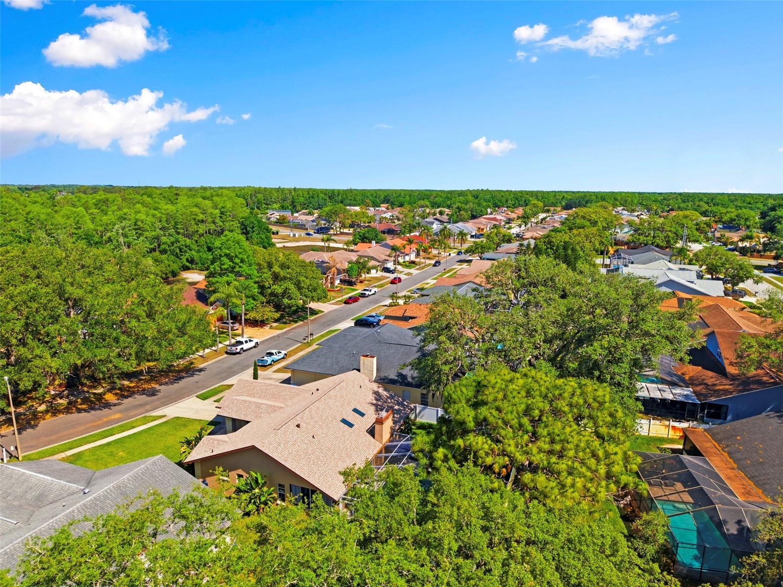 HUNTERS RIDGE - Residential