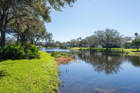 A home in LITHIA