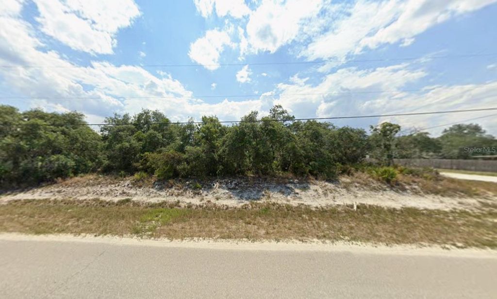 Photo of 2903 W Gordon Road, Avon Park, FL 33825 (MLS # K4903356)