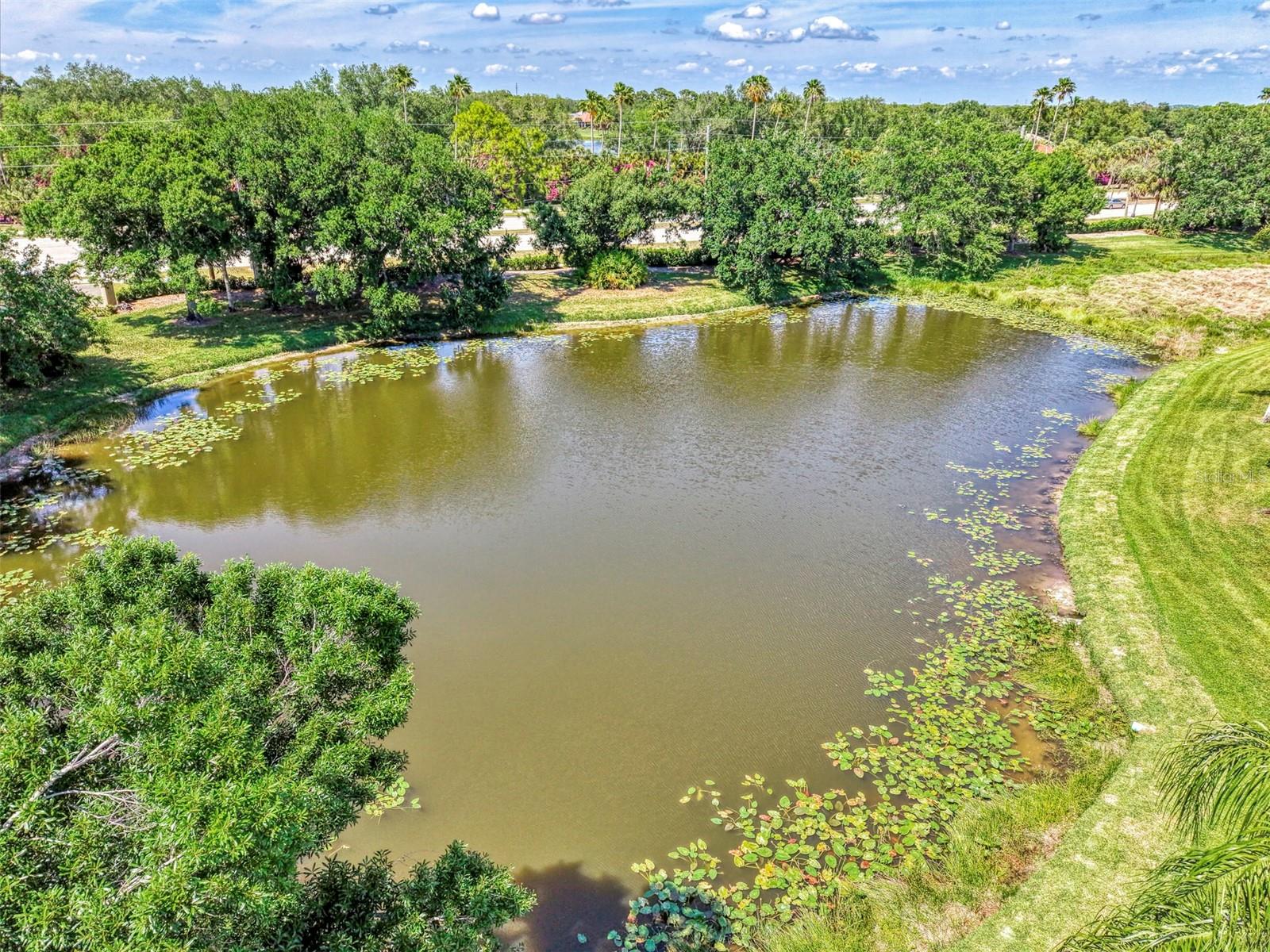 WEST LAKE GARDENS ST ANDREWS PARK - Residential